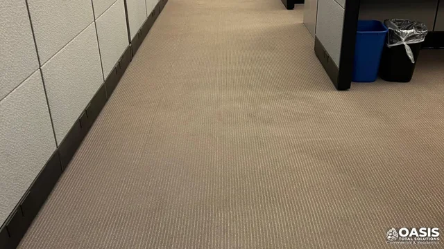 Office corridor carpet after janitorial maintenance